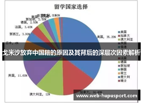 戈米沙放弃中国籍的原因及其背后的深层次因素解析